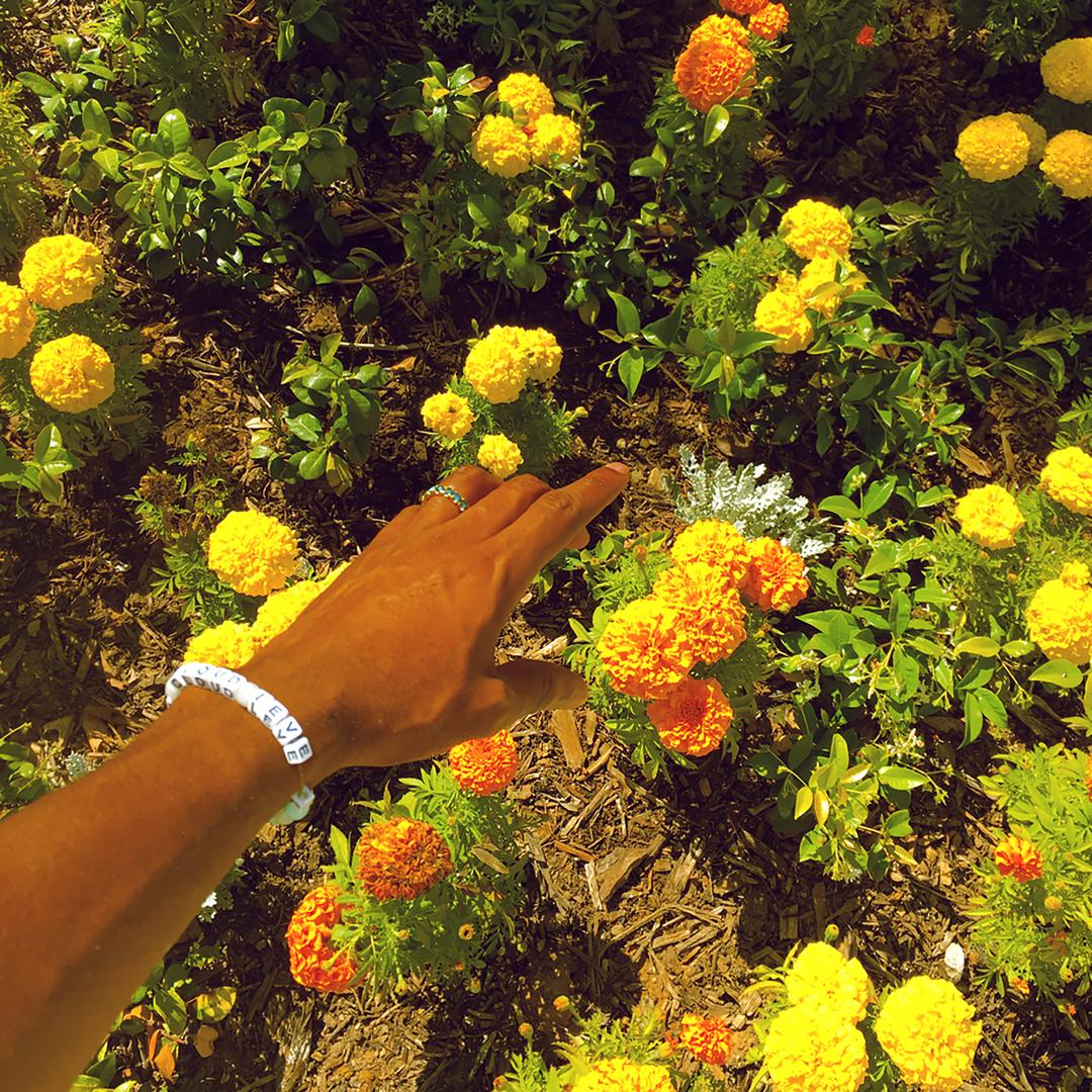 Tyler The Creator On Pandora Radio Songs Lyrics