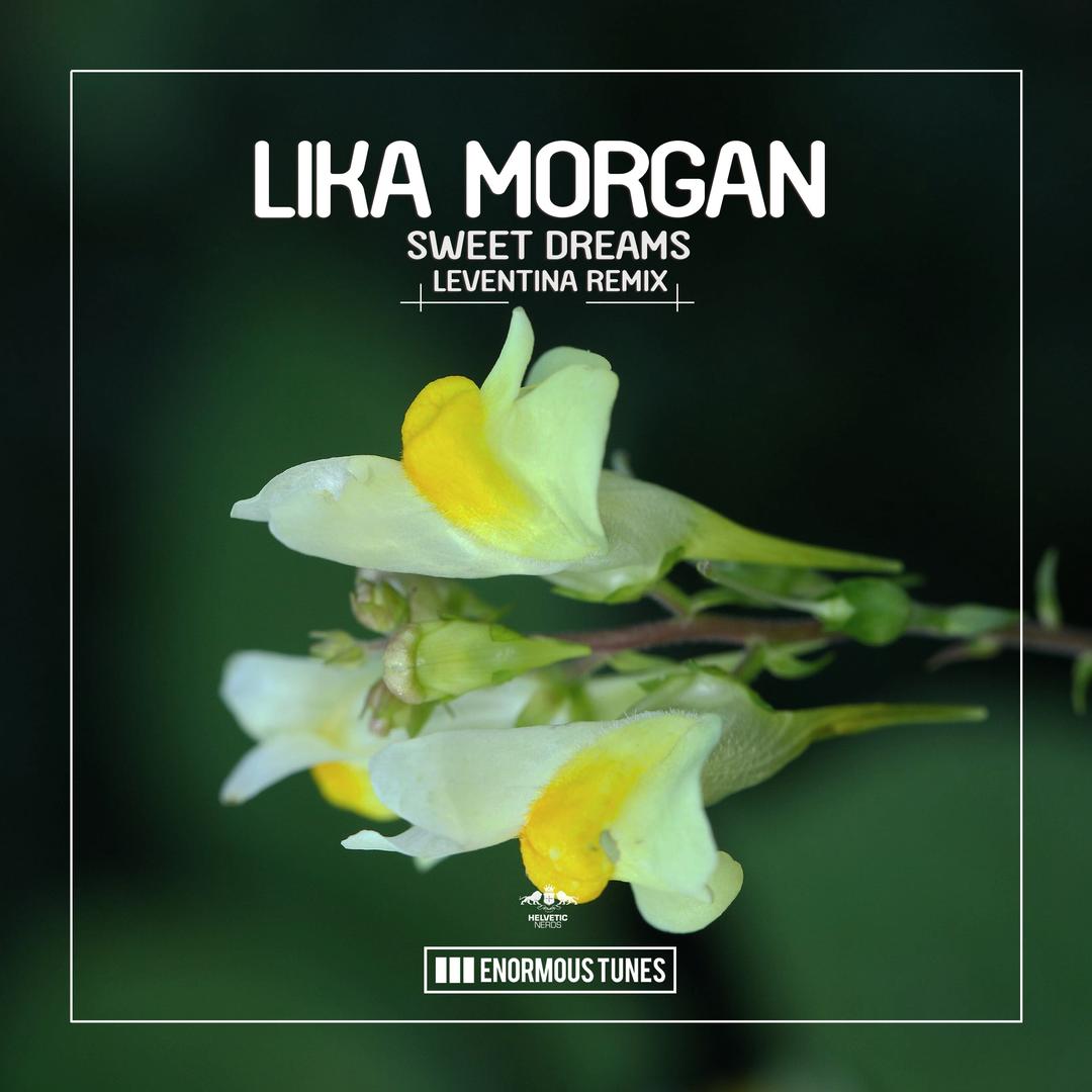 Gone Tomorrow Me My Toothbrush Remix By Lika Morgan Pandora Gone tomorrow (me & my toothbrush remix). pandora