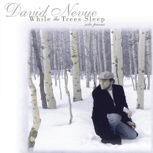 Winter Walk By David Nevue Pandora