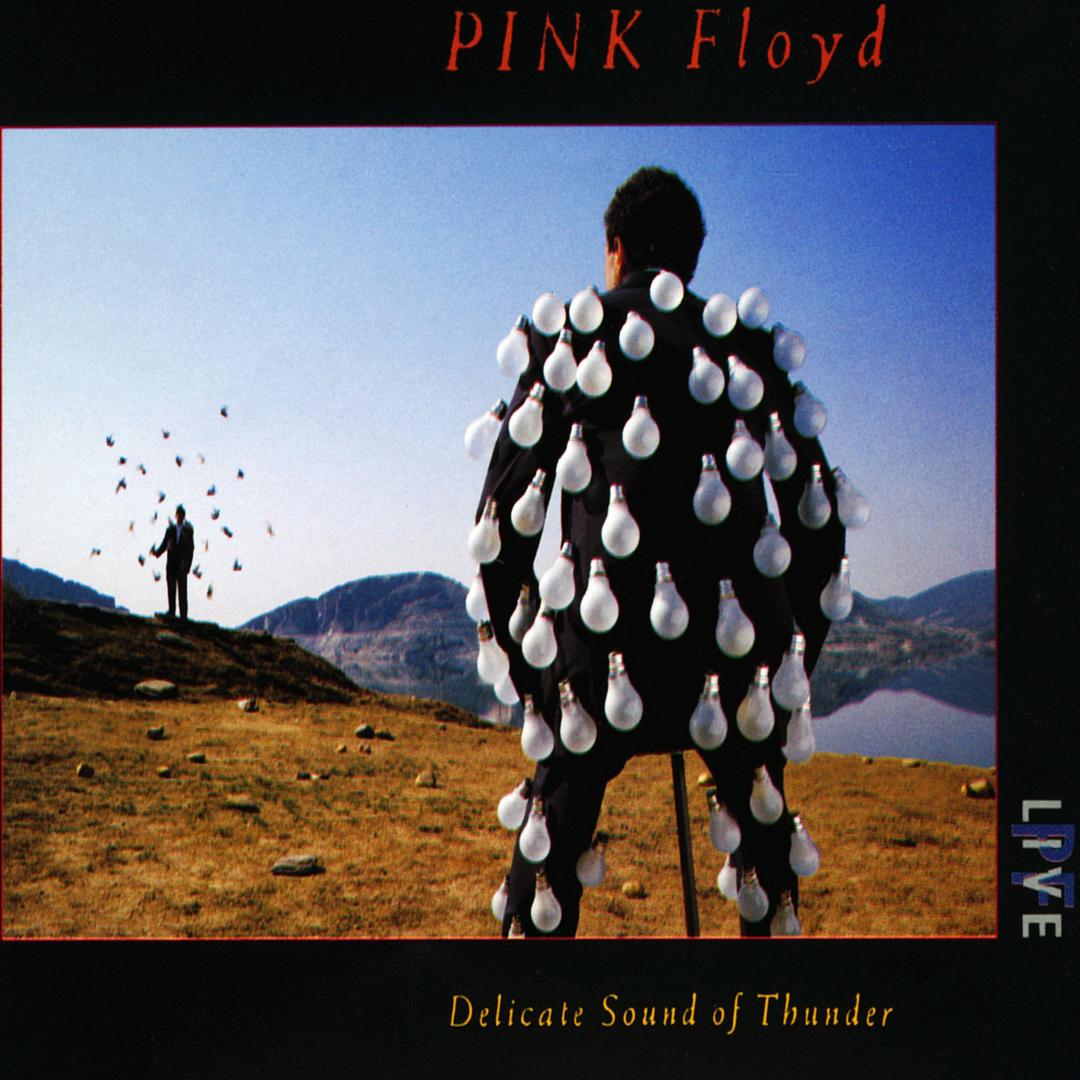 Comfortably Numb Live 1988 By Pink Floyd Pandora