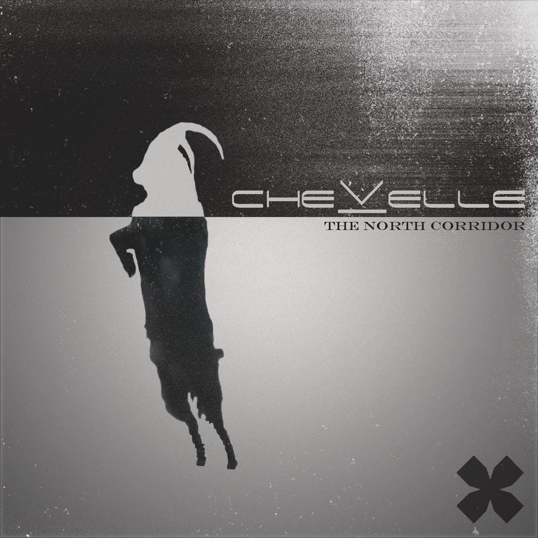 Comfortable Liar By Chevelle Pandora